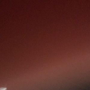 Meet your Posher, Hector